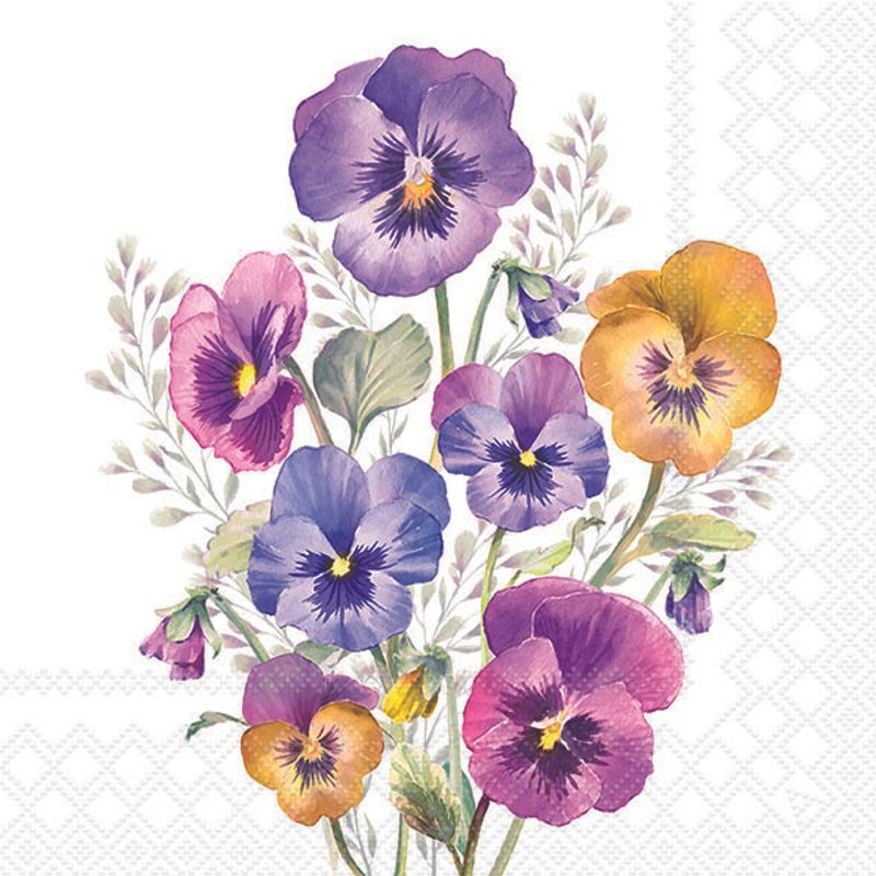 Vibrant colourful pansies on a white background