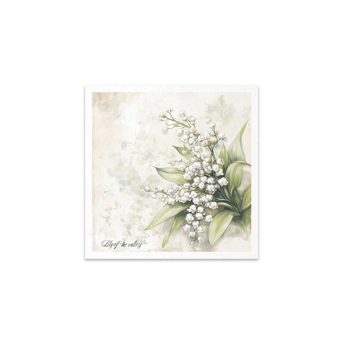 RSM174 - Mini Rice Paper Set
