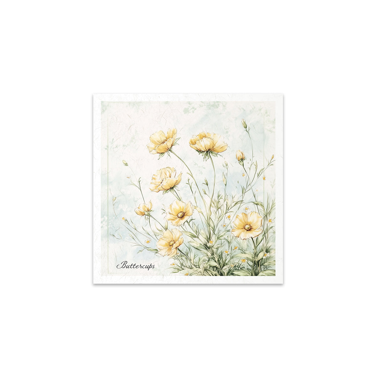 RSM175 - Mini Rice Paper Set