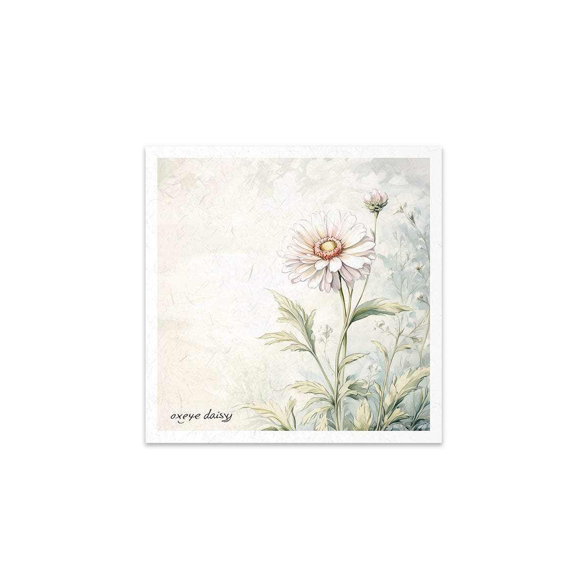 RSM175 - Mini Rice Paper Set