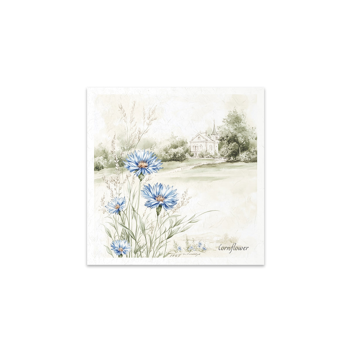 RSM175 - Mini Rice Paper Set