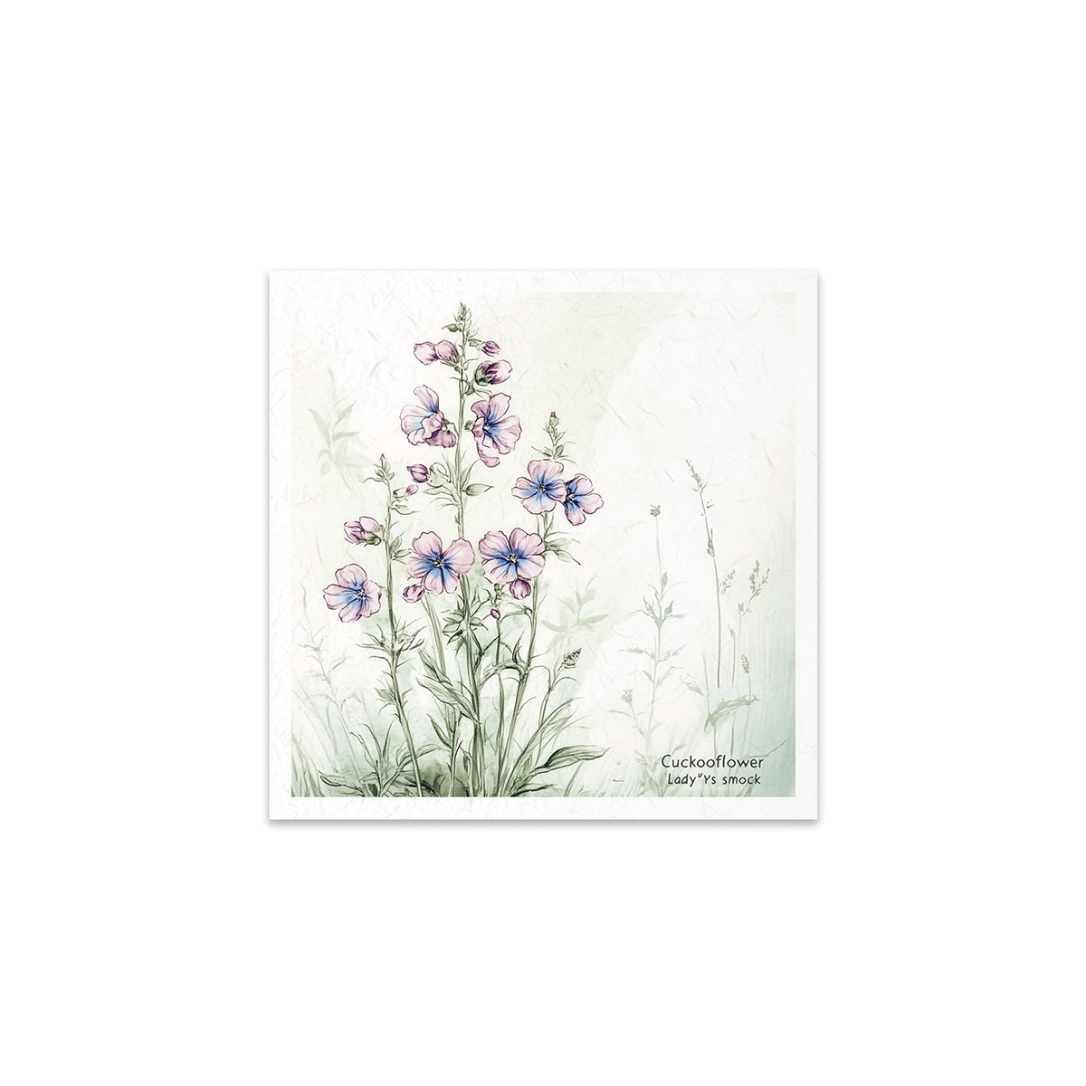 RSM175 - Mini Rice Paper Set