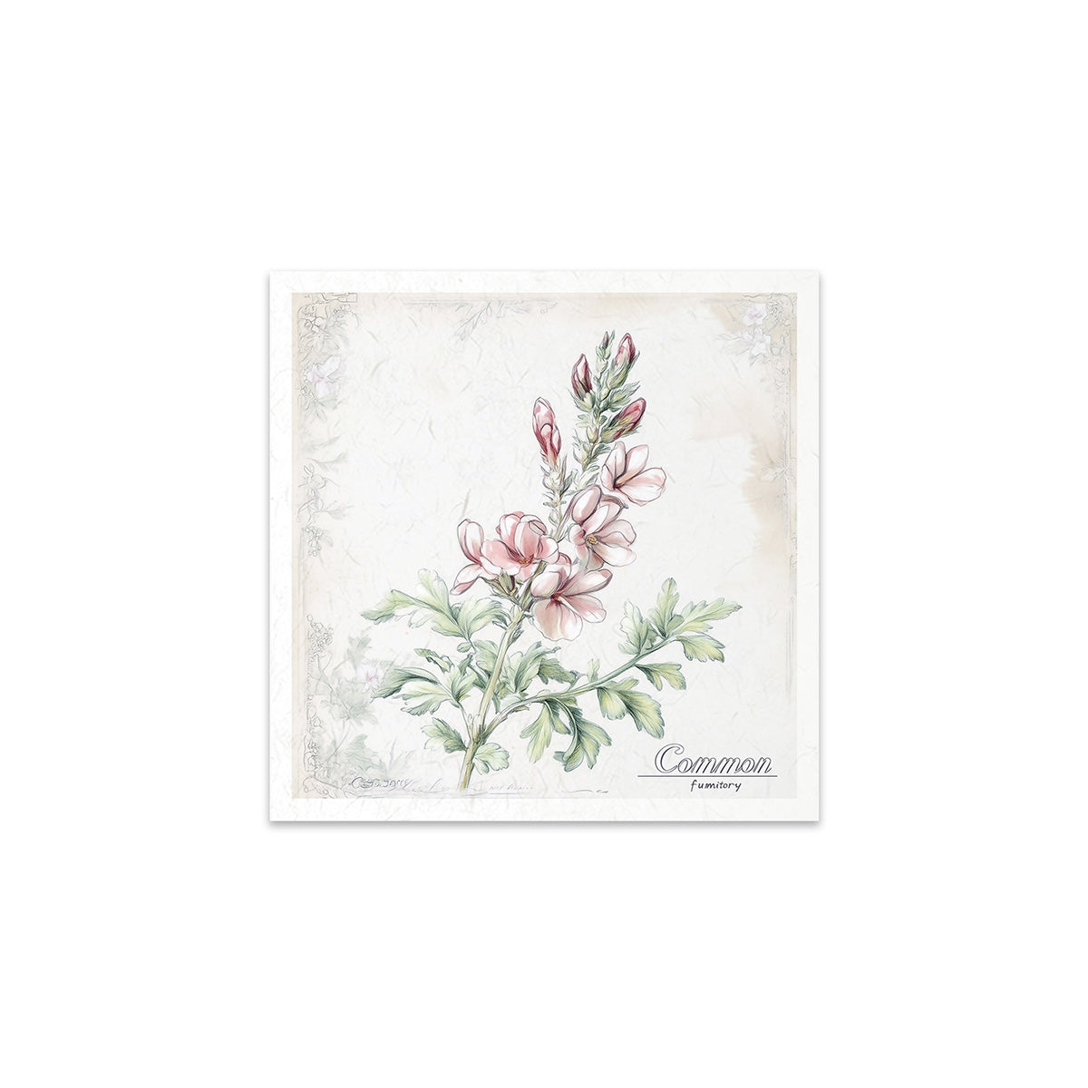 RSM175 - Mini Rice Paper Set