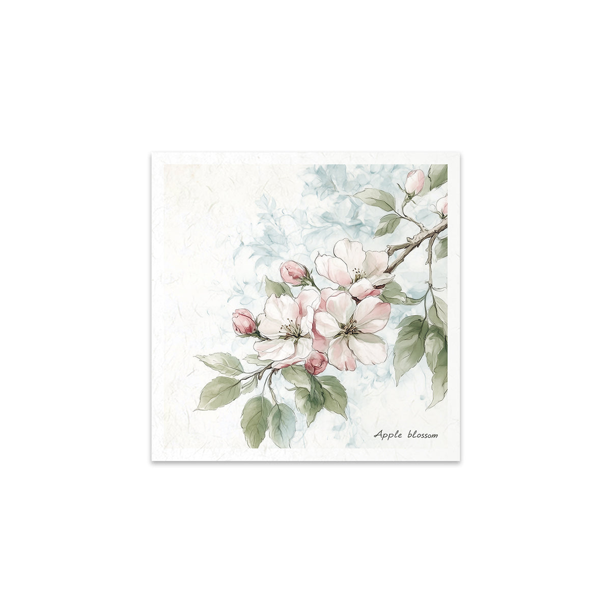 RSM176 - Mini Rice Paper Set