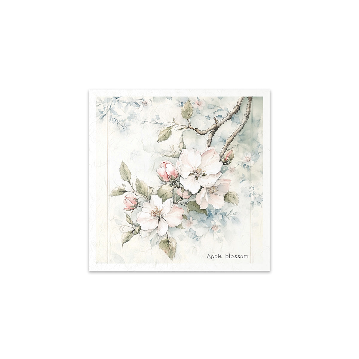 RSM176 - Mini Rice Paper Set
