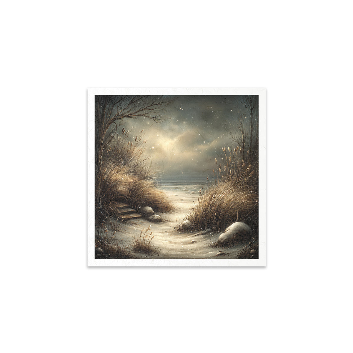 Misty coastal scene with a path and reeds.