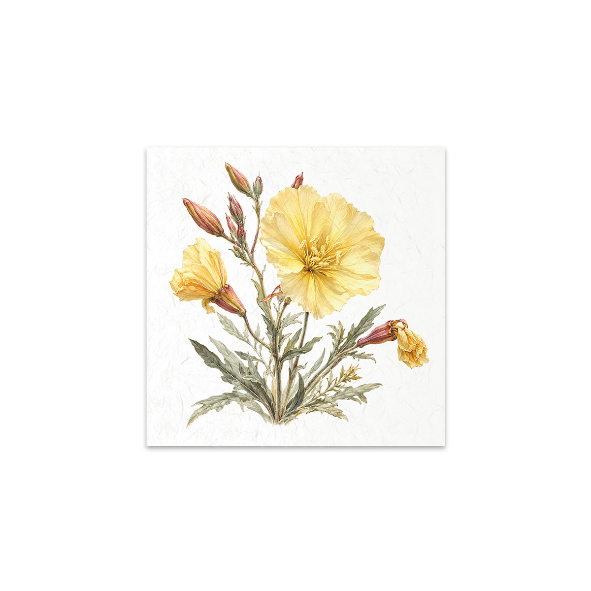 A square art print featuring a botanical illustration of yellow flowers and green leaves on a white textured background, centered on a solid white backdrop.