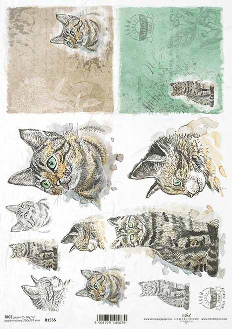 R1565 - Rice paper A4