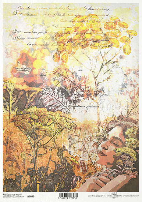 R2079 - Papel de arroz A4