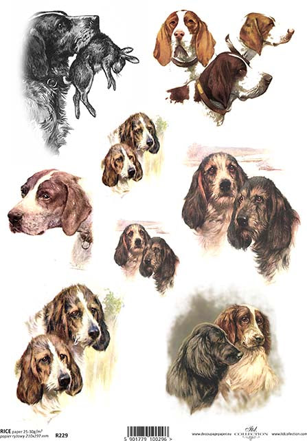 Rice paper with various illustrations of hunting dogs in different colors, prepared for decoupage and mixed media crafts.