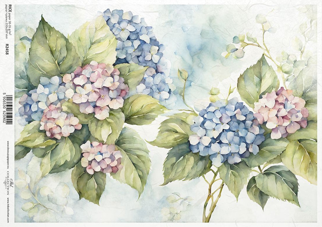 Decorative paper with hydrangea flowers and leaves on a light background