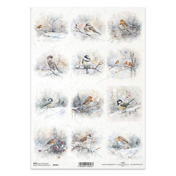R2491 - Winter Birds Rice Paper A4