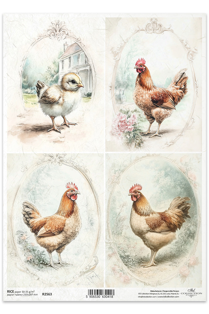 R2563 - Rustic Farm Chickens Rice Paper A4