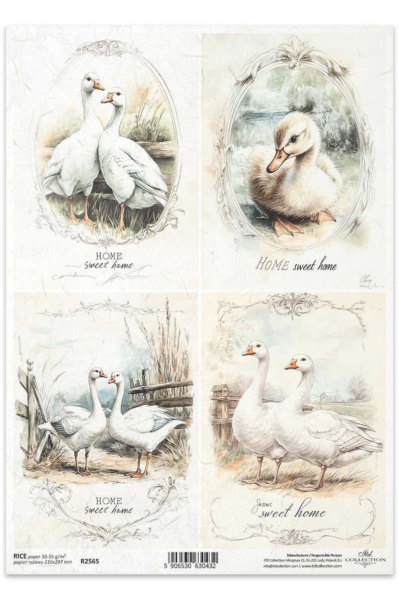 R2565 - Sweet Home Geese Rice Paper A4