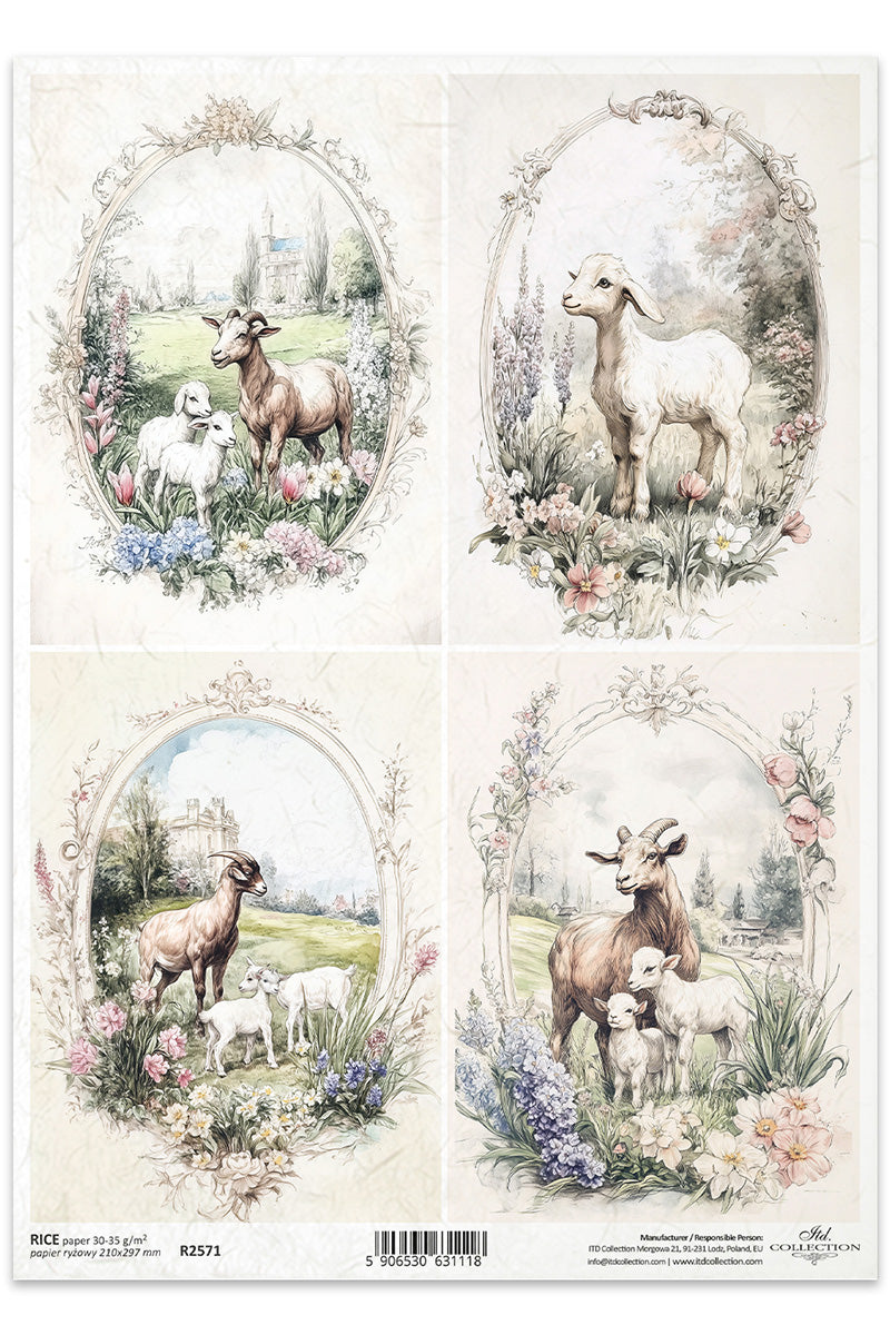 R2571 - Sweet Farm Animals Rice Paper A4