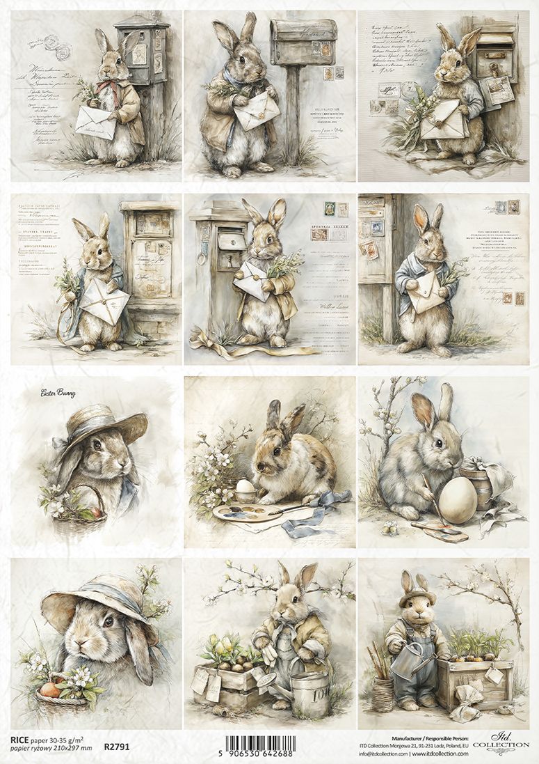 Illustrations of rabbits in various poses and outfits on a white background