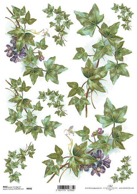 R0970 - Rice paper A4