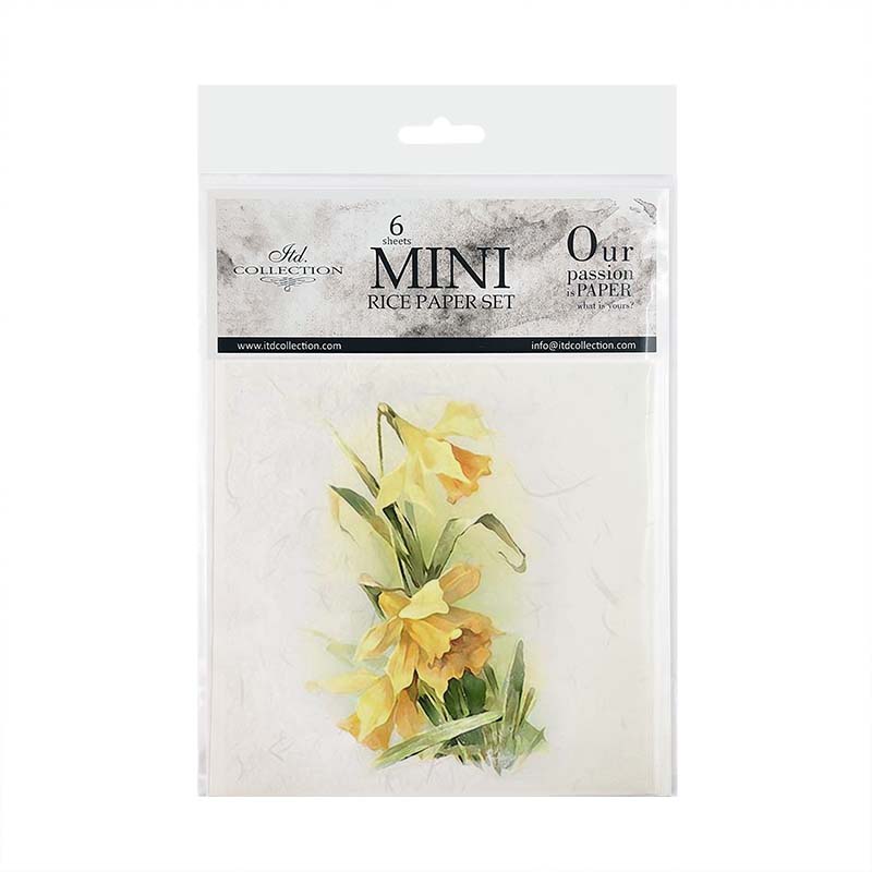 RSM074 - Juego de papel de arroz en miniatura