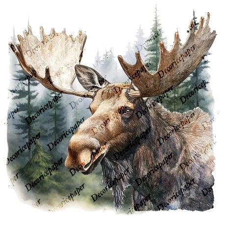 S003 - Moose Mini Rice Paper Set