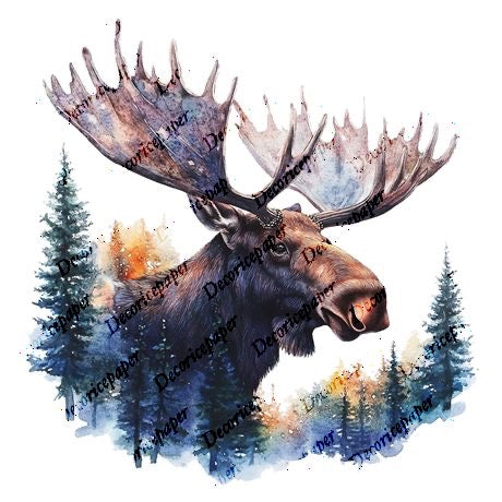 S003 - Moose Mini Rice Paper Set
