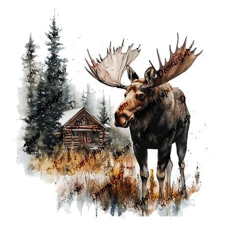 S003 - Moose Mini Rice Paper Set