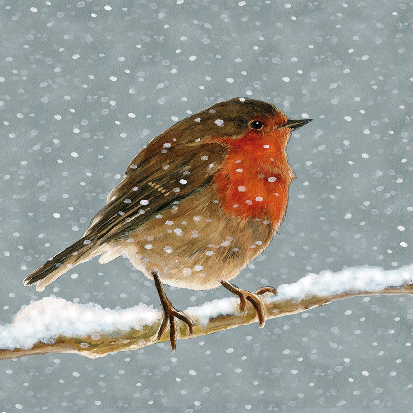 Illustration of a robin on a snow-covered branch with a snowy background