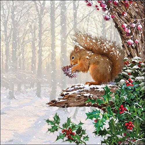 Squirrel in tree with holly and berries in a snowy forest