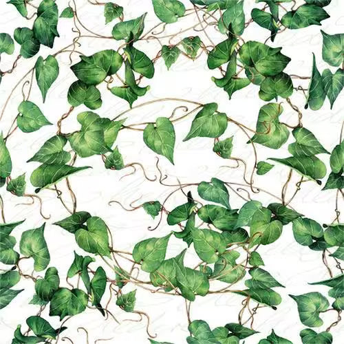 Pattern of green ivy leaves on a white background