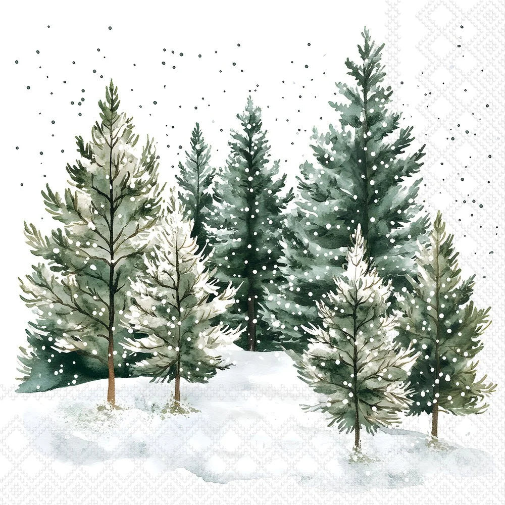 Watercolor-style illustration of several snow-dusted evergreen trees in a snowy winter landscape on a white background with scattered snowflakes.