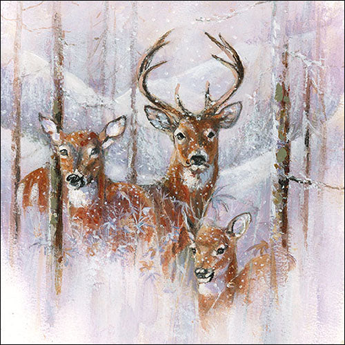 Wilderness Stag - Napkin