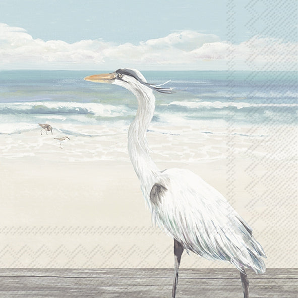 White heron by the ocean with sky in the background.