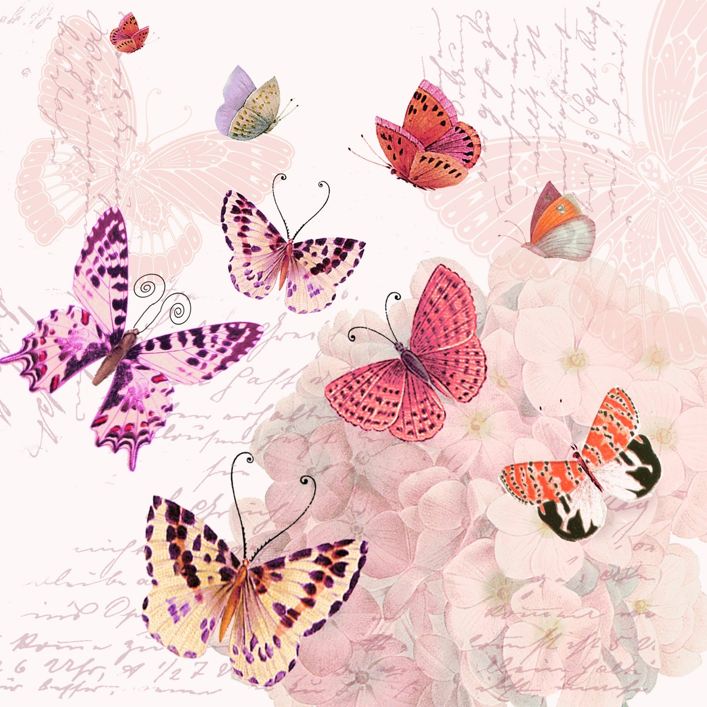 Butterfly Romance - Napkin