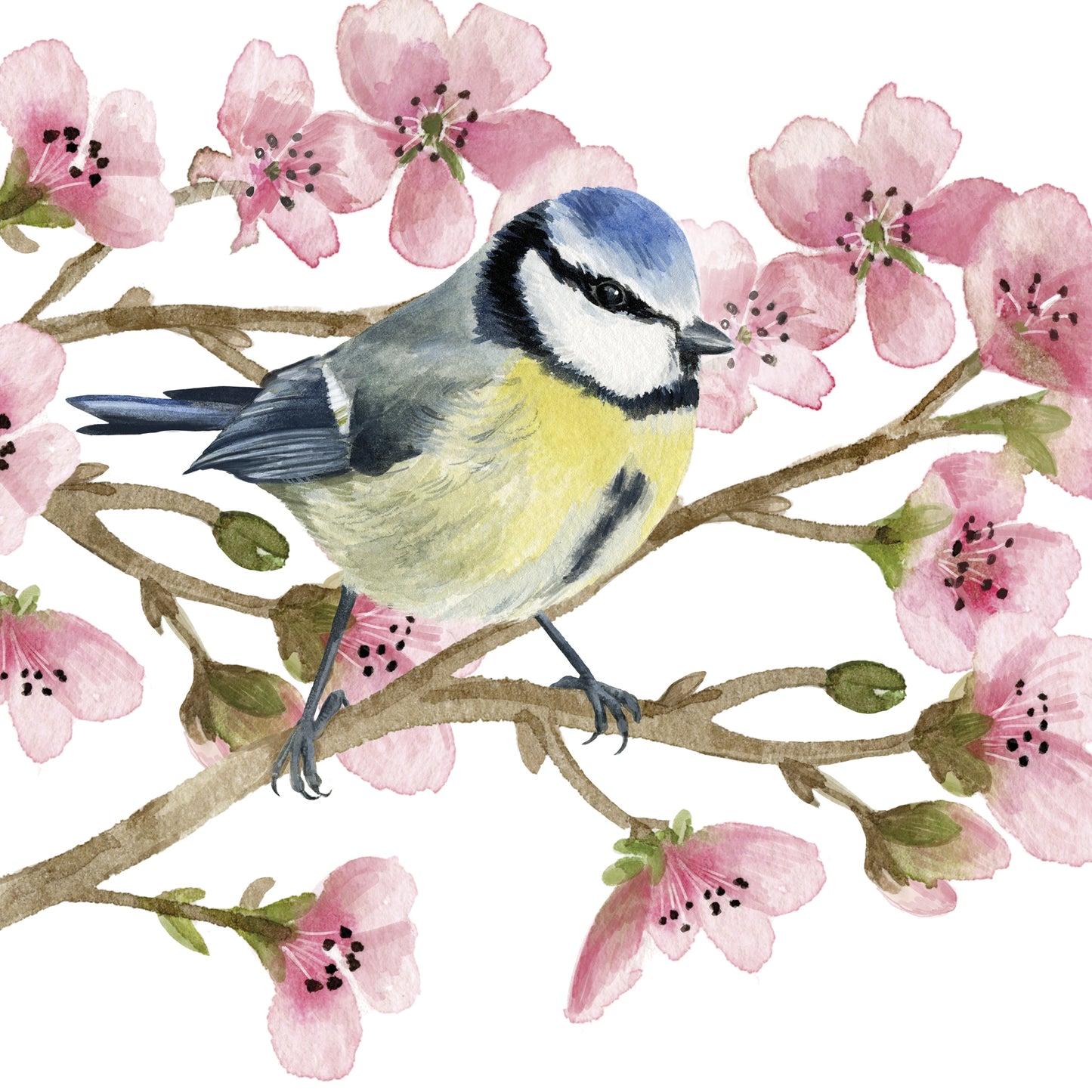 Spring Bird - Napkin