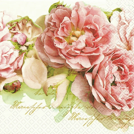 Rosas María - Servilleta
