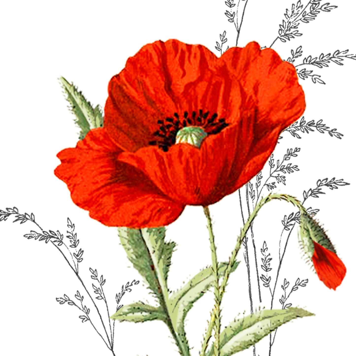 A printed napkin featuring a vibrant red poppy flower with green foliage.