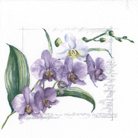 Purple Orchid - Napkin