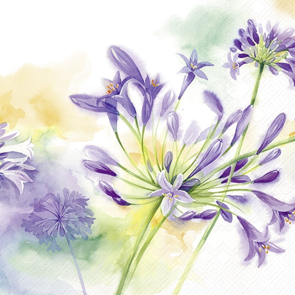 Agapanthus - Napkin