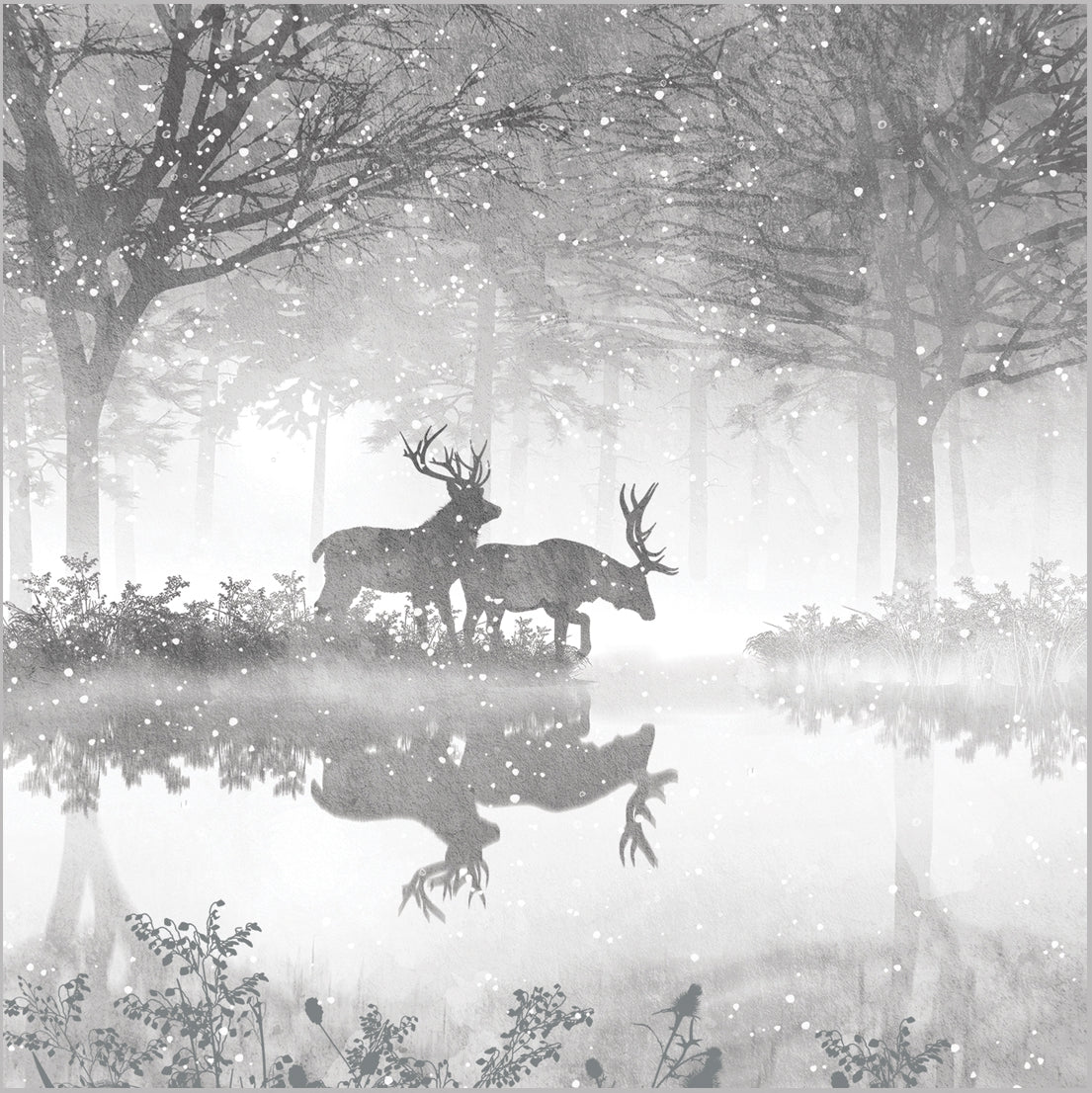 Two deer standing in a misty forest with their reflections visible in the water.