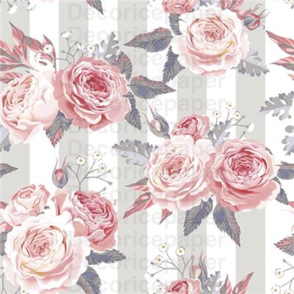 Pink roses on grey stripes background