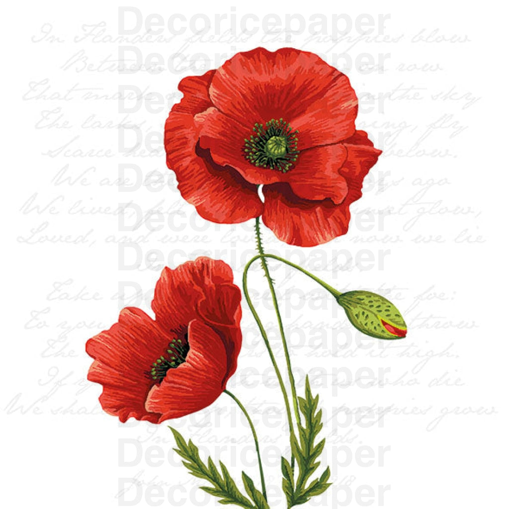 Proud Poppy Napkin