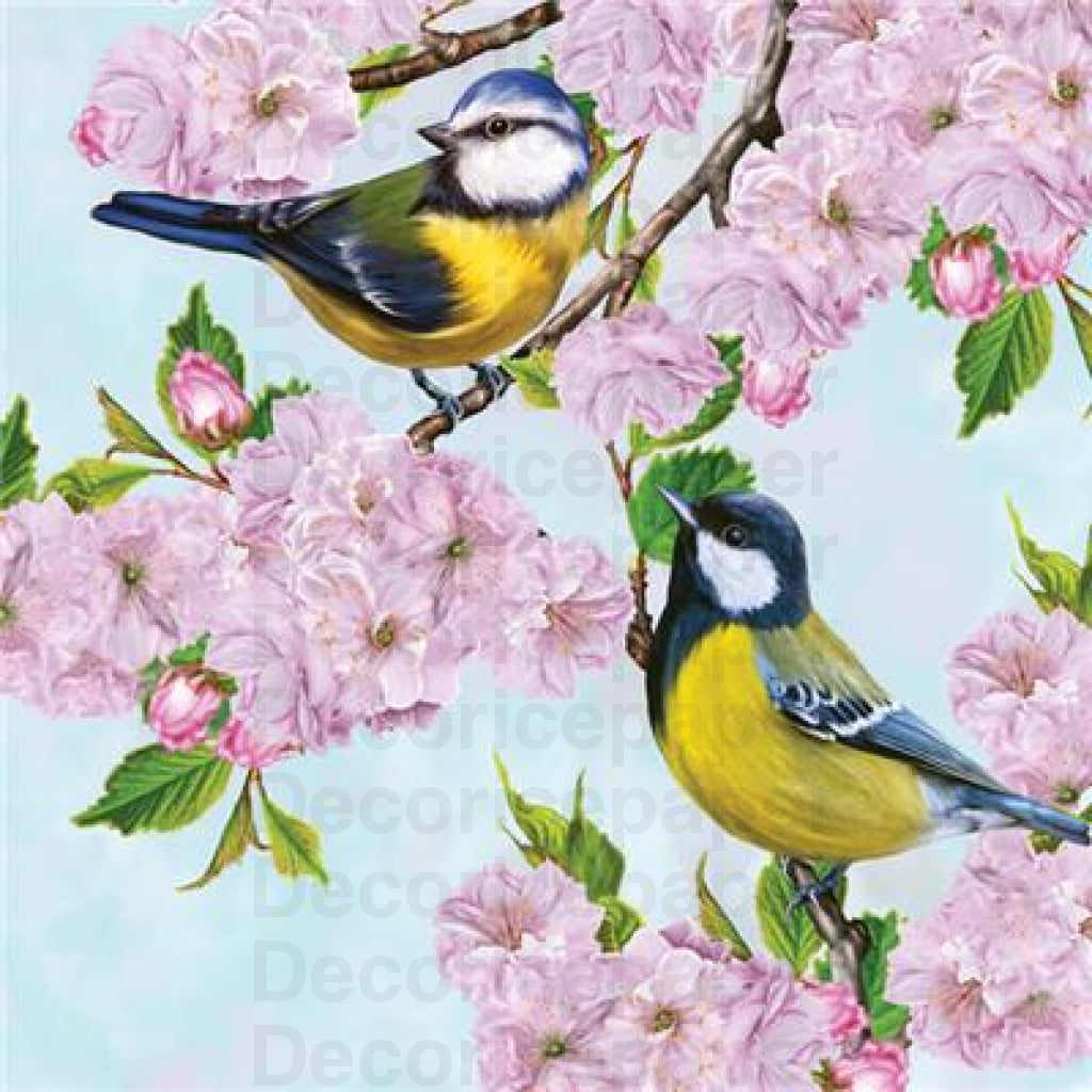 Tits On Cherry Blossom Twig Napkin