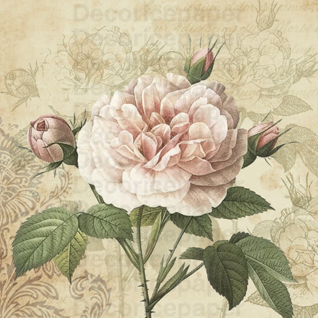 Vintage Rose With Buds Napkin