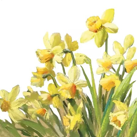 Golden Daffodils - Napkin (Cocktail)