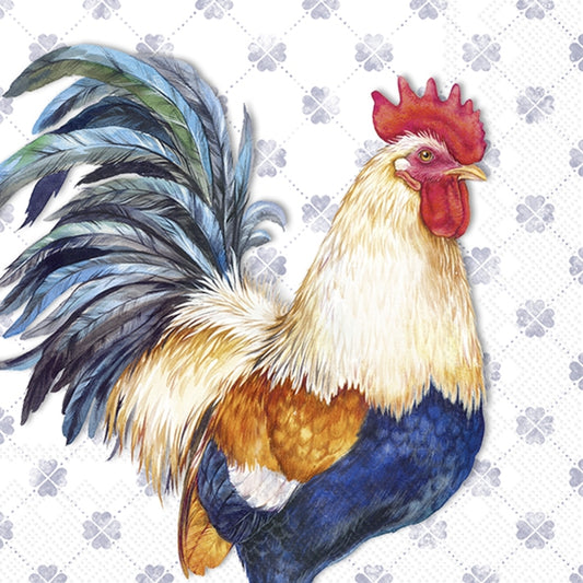 Colorful rooster illustration on a patterned background