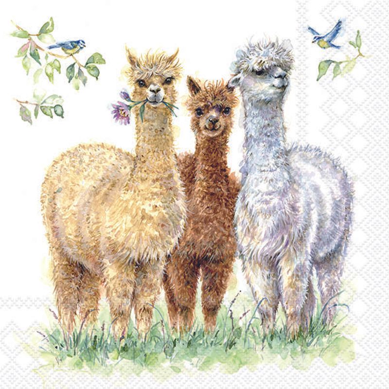 Alpaca Friends - Napkin