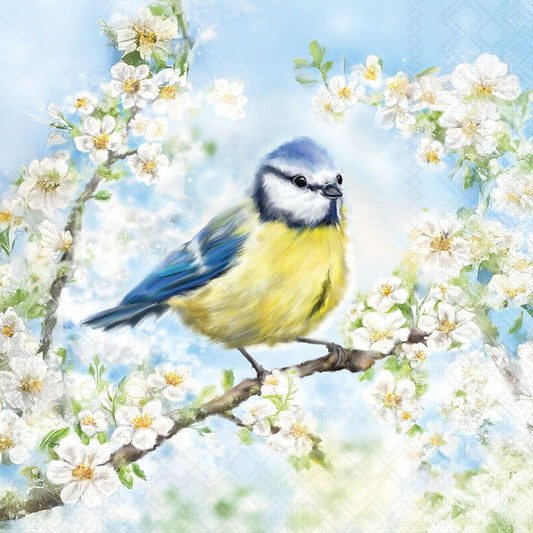 Bird perched on a branch with white flowers and a blue sky background