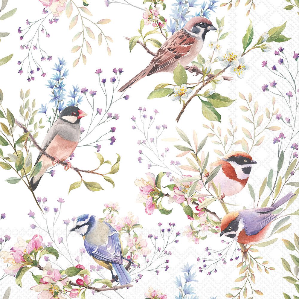 Pattern of birds and flowers on a white background
