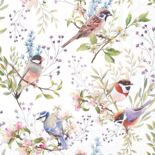 Pattern of birds and flowers on a white background