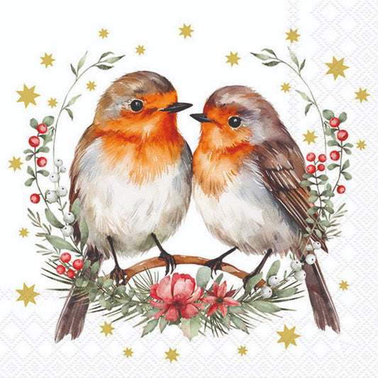 Two birds on a branch with festive decorations and stars on a white background