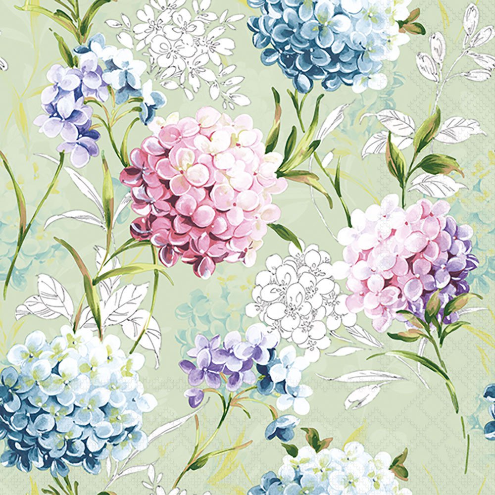 Colorful hydrangea flowers on a light green background